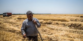 امسال بیسابقهترین خشکسالی برای کشاورزی طی ۴۷ سال بود