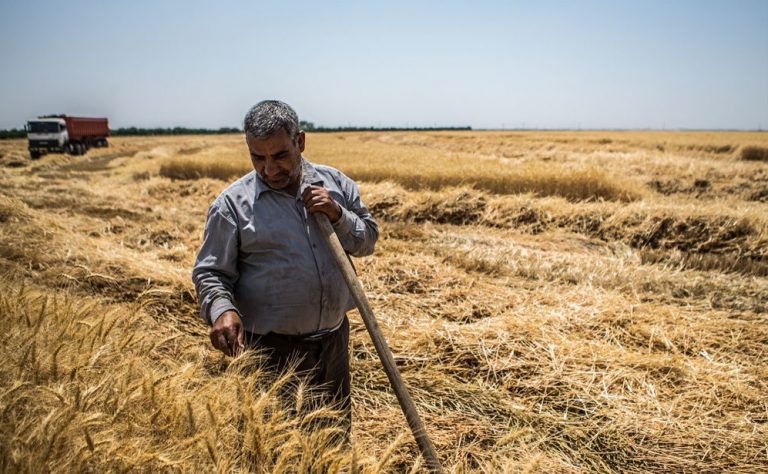 امسال بی‌سابقه‌ترین خشکسالی برای کشاورزی طی ۴۷ سال بود