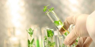 ذخیره سازی 17 میلیون نمونه در بانک ژن کشاورزی ایران