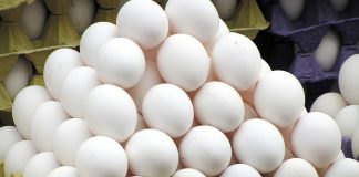 هر ایرانی سالی 198 تخم مرغ می خورد