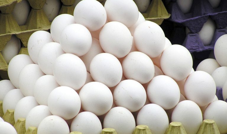 هر ایرانی سالی 198 تخم مرغ می خورد