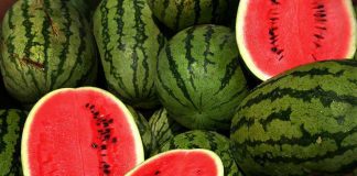 حراج آب: هندوانه بکاریم یا ذرت