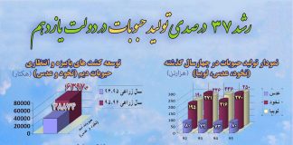 افزایش تولید حبوبات؛ سال 92: 505 هزار تن، سال 95: 690هزارتن