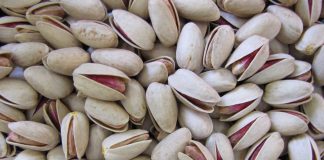 امسال سال رونق پسته سال رونق پسته