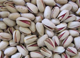 کاهش ۱۹ درصدی صادرات پسته سال رونق پسته