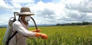 ثبت بیش از هزار برند کود و سم در ایران