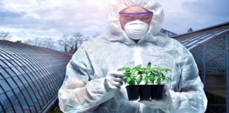 نقشه راه زیستفناوری کشاورزی ایران تدوین شد