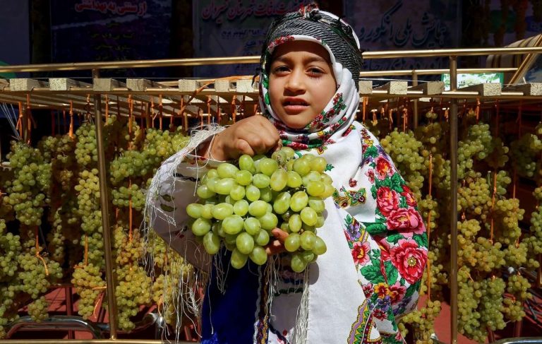 جشنواره ملی انگور در بجنورد/آلبوم عکس