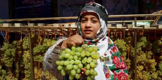 جشنواره ملی انگور در بجنورد/آلبوم عکس