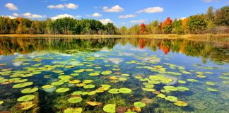 کاهش یک میلیون هکتاری مساحت تالابها و هورهای ایران