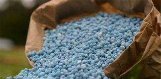 قیمت کود سال آینده گران نمیشود