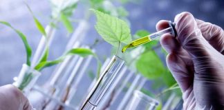 کدام صنایع در سال ۲۰۱۸ پیشرو هستند