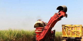 برداشت نیشکر در خوزستان/آلبوم عکس