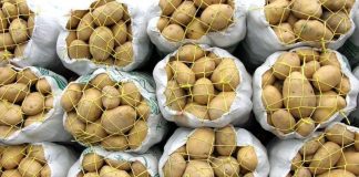 ضرورت ممنوعیت صادرات سیب زمینی برای کنترل قیمت