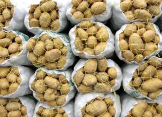 صادرات سیبزمینی و رب گوجهفرنگی ممنوع شد