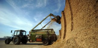 پیشبینی فائو از افزایش چشمگیر تولید غلات در سال ۲۰۱۸