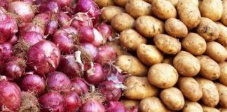 پیش بینی تولید یک میلیون و 900 هزار تن پیاز، سیب زمینی و گوجه فرنگی طرح استمرار