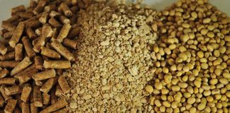 سویا و ذرت گرانتر شد