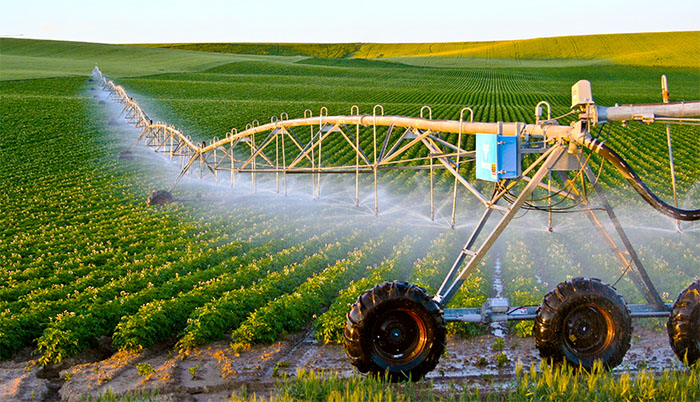 تجهیز 20 درصد اراضی کشاورزی به سامانه‌ نوین آبیاری