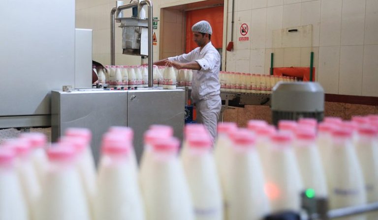 صادرات شیر خشک ممنوع شد با اضافه تولید چه کنیم؟