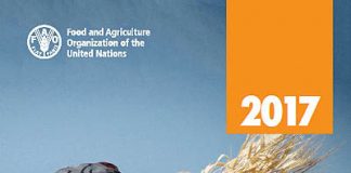 رتبه یک ایران در یارانه غیرهدفمند