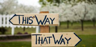 اصول تصمیم گیری در زمان رشد شرکت