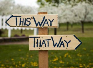 اصول تصمیم گیری در زمان رشد شرکت