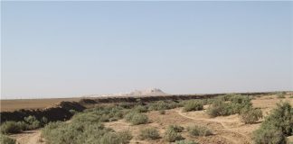 فرسایش خاک در ایران سه برابر میانگین جهانی است