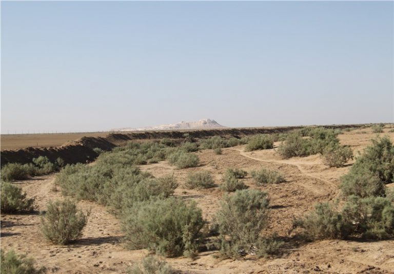 فرسایش خاک در ایران سه برابر میانگین جهانی است