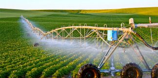 تجهیز 20 درصد اراضی کشاورزی به سامانه نوین آبیاری