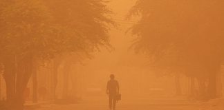 حجتی: اعتبار مقابله با ریزگردها در بودجه97 حدود 140میلیون دلار است