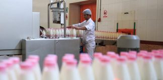 صادرات شیر خشک ممنوع شد با اضافه تولید چه کنیم؟