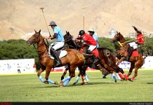 چوگان و کمانچه در فهرست میراث جهانی ثبت شد