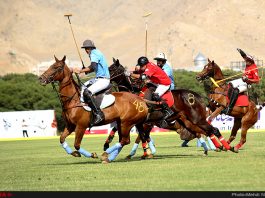 چوگان و کمانچه در فهرست میراث جهانی ثبت شد