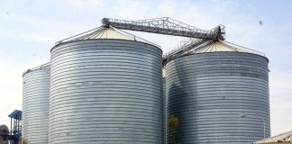 ۴۰ درصد ظرفیت کارخانههای روغن کشی فعال است