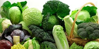 یک مقام مسئول: ورود برخی محصولات کشاورزی به عراق ممنوع شد