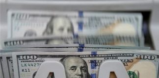 محدودیت قیمت برای ارز پتروشیمیها