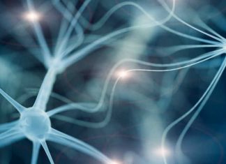 چطور مغز خود را به سوی موفقیت دستکاری کنید؟