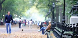 چه زمانی از روز بهرهوری بیشتری دارید