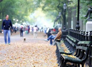 چه زمانی از روز بهرهوری بیشتری دارید