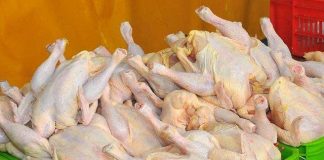 سرانه مصرف گوشت مرغ در ایران دوبرابر سرانه جهانی است