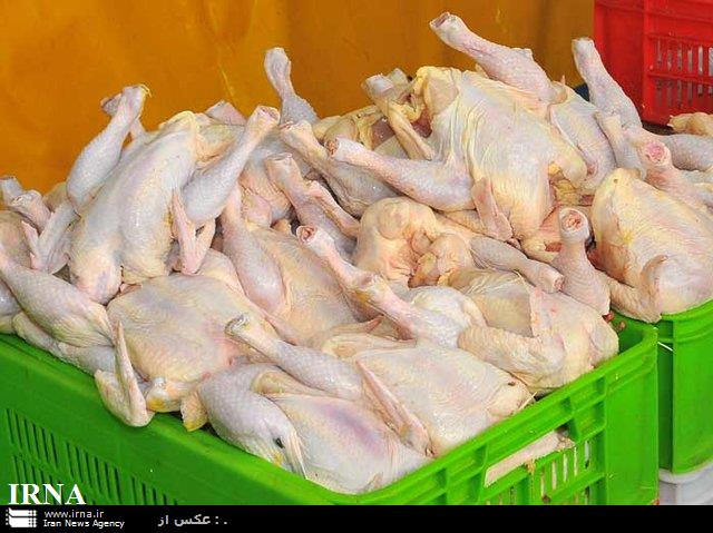 سرانه مصرف گوشت مرغ در ایران دوبرابر سرانه جهانی است