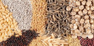 پشت پرده لایحه الحاق به کنوانسیون حمایت از ارقام جدید گیاهی