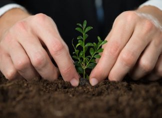 چگونه فعالیتهای عمومی و اجتماعی شرکت را معرفی کنیم