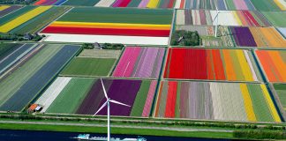 کشاورزی در هلند؛ وقتی فناوری جای خالی خاک را پر میکند