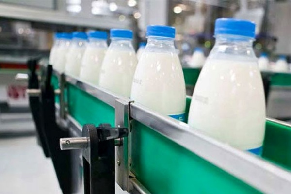 تولید شیر خام سالانه ۷ تا ۸ درصد افزایش دارد