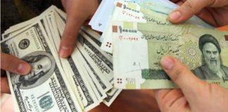 آیا دولت پشت نوسان ارزی است؟