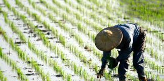 آیا سال جدید آبی سال پربارانی خواهد بود؟