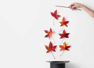 نقش مدیران امروزی در بخشهای کلیدی تغییر میکند