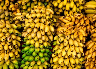 موز با ارز سیب صادراتی وارد میشود